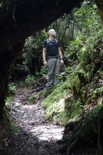 Wandern in den Cameron Highlands